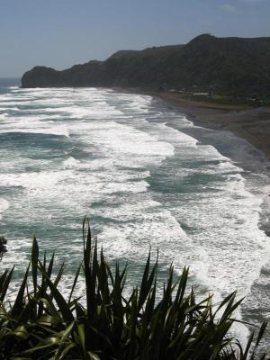 Piha Beach view from Lime Rock Piha Beach view from Lime Rock